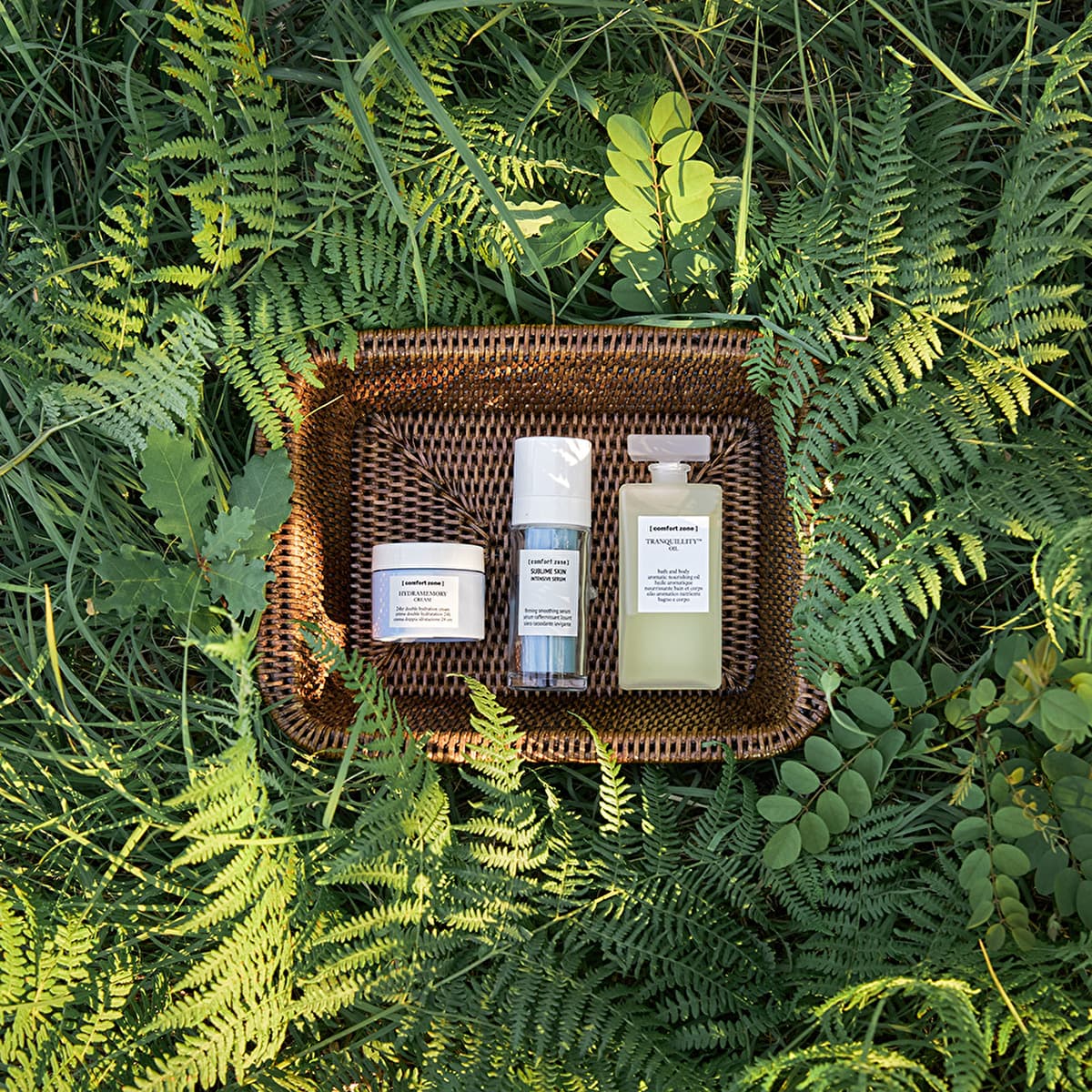 Comfort Zone Skincare: An Innovative Sustainability Brand