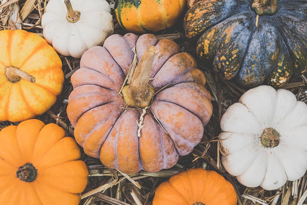 Autumn Renewal With A Spavia Membership