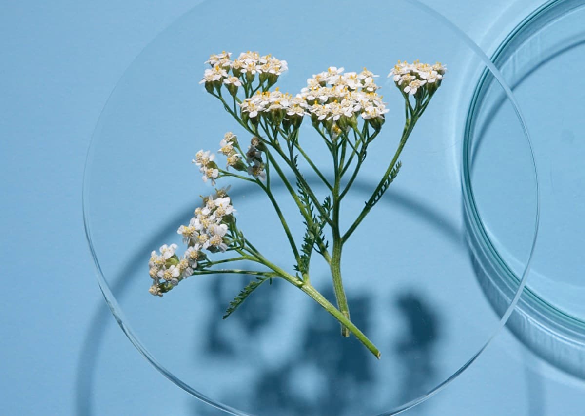 The Natural Filler Effect with our Revitalizing Lift Facial